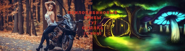 прущая мука Верхний Тагил