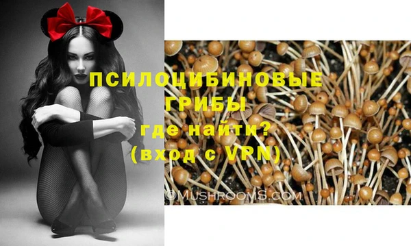 mdpv Бородино