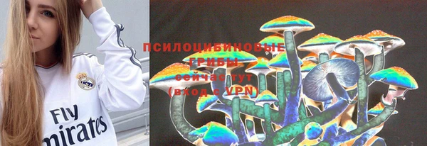 mdpv Бородино