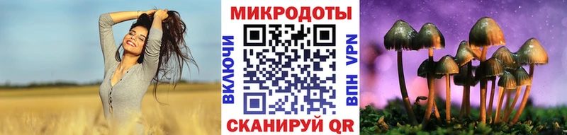 Галлюциногенные грибы мухоморы  hydra зеркало  Мончегорск 